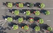 Aerial view of a busy wholesale watermelon market with colorful arrangements and vibrant activity, Roynagar, Shibganj, Rajshahi, Bangladesh.