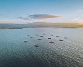 Aerial view of mussel farms in a beautiful sunset over Ria de Baiona, Nigran, Pontevedra, Spain.