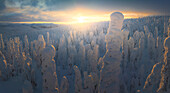 Aerial view of snow covered forest at sunset with trees, Stevens Village, Alaska, United States.