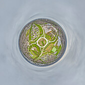 Aerial view of a tiny planet perspective featuring a vibrant urban landscape with buildings, green spaces, and a roundabout, Hull, England, United Kingdom.