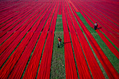 Narsingdi, Bangladesch - 13. Dezember 2021: Luftaufnahme von lebhaften Textilarbeitern, die bunte Stoffe auf einem malerischen landwirtschaftlichen Feld trocknen, Paikar Char, Narsingdi, Dhaka, Bangladesch.