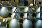 Aerial view of sewage water purification industrial facility with domes and pipelines, Steinwerder, Hamburg, Deutschland.