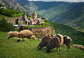 Aerial view of sheeps grazing near the Tatev Monastery on the rocks, a monastery complex with view over the valley and mountains, Tatev, Syunik Province, Armenia.