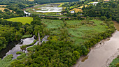 Luftaufnahme einer üppigen grünen Landschaft mit einem sich schlängelnden Fluss und einem ruhigen Wald, Calstock, England.