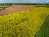 Aerial view of a tractor spraying the vibrant yellow rapeseed field contrasting with the earthy brown soil, all beneath a soft blue sky, Alsace, France.