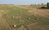 Luftaufnahme von goldenen Heuballen, die über ein sonnenbeschienenes Feld verstreut sind und lange Schatten auf das grüne Gras werfen, im Hintergrund sanfte Hügel, Valensole, Italien.
