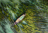 Aerial view of a lone boat glides through the river, its hull a dark contrast to the vibrant green algae beneath, Krisokgonj Bazar, Sirajganj, Rajshahi Division, Bangladesh.