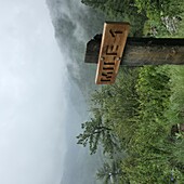 Blick auf ein hölzernes 'MILE 1'-Schild auf einem verwitterten Pfosten inmitten von grünem Laub und nebligen Bergen, eine ruhige Szene, Loveland, Colorado, Vereinigte Staaten.