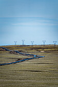 View of power lines marching across a vast, golden plain under a pale sky, bisected by a dark road in Nesjavellir, Grímsnes- og Grafningshreppur, Iceland.