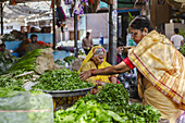 Bikaner, India - 24 June 2025: View of a vibrant market scene with women in colorful saris selecting fresh green vegetables under the bright Indian sun..