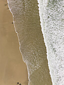 Luftaufnahme der Küstenlinie, wo goldener Sand auf den unruhigen Ozean trifft und einen dynamischen Kontrast zwischen der Erde und dem Meer schafft, Sir Lowry's Pass, Westkap, Südafrika.