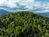Luftaufnahme eines dichten, wellenförmigen Waldes, in dem leuchtendes Grün auf das sanfte Blau des Himmels trifft, und der die unberührte Schönheit der Natur zeigt, Thann, Grand Est, Frankreich.