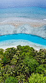 Aerial view of lush green vegetation meeting the turquoise waters of the ocean, creating a stunning contrast of colors, Kihaadhoo, Baa Atoll, Maldives.