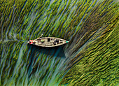 Aerial view of a wooden boat cutting through the vibrant green algae-filled waters of Krisokgonj Bazar - Sontola Road, Sirajganj, Rajshahi Division, Bangladesh.