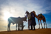 Yusufari, Nigeria - 07 February 2025: View of two men standing with a cow and a camel under a vast, sun-drenched sky, capturing the essence of desert life..