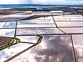 Aerial view of flooded rice paddies reflecting the sky like a mosaic of mirrors, creating a surreal landscape of agricultural beauty, Trino, Piemonte, Italy.