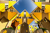 Rotterdam, Niederlande - 16. Juli 2025: Blick auf die ikonischen Cube Houses, die mit ihren leuchtend gelben Fassaden den Himmel durchdringen und ein geometrisches Spektakel vor dem klaren Blau des Himmels bilden.