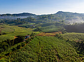 Luftaufnahme einer üppigen, grünen Landschaft mit sanften Hügeln, die in den nebligen Horizont übergehen, eine ruhige Szene der Schönheit der Natur, San Enrique, Western Visayas, Philippinen.
