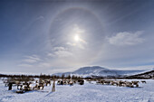 Blick auf Rentiere, die sich auf einem schneebedeckten Feld unter einem strahlenden Sonnenschein versammeln, eingerahmt von fernen Bergen, Salekhard, Autonomer Kreis der Jamal-Nenzen, Russland.