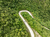 Aerial view of winding road cuts through emerald green jungle canopy, a lone vehicle navigating the curves, Siargao Island, Caraga, Philippines.