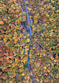Luftaufnahme einer Straße, die durch einen leuchtenden Wandteppich aus Herbstlaub führt, wo die Bäume in feurigen Rot-, Orange- und Gelbtönen leuchten, Vermont, Vereinigte Staaten.
