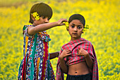 Bogura, Bangladesh - 24 December 2017: View of two young girls amidst a vibrant yellow field, one gently placing yellow flowers behind the ear of the other.