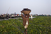 Bahmanbaria, Bangladesh - 30 January 2024: View of a man with a determined gaze, carrying his heavy load through the water hyacinth, amidst the bustling river activity.
