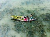 Rajbari, Bangladesh - 22 February 2025: Aerial view of a narrow boat cutting through murky water, carrying people and vibrant green plants, a stark contrast to the dull, submerged vegetation.