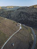Aerial view of terraced vineyards cascade down to meet a winding road and river, nestled among rolling hills under the warm glow of the sun, Ribeira Sacra, Lugo, Spain.