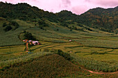 Aerial view of lush green fields meet rolling hills under a soft sky, a tranquil scene of rural beauty, San Enrique, Western Visayas, Philippines.