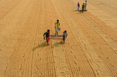 Bogura, Bangladesh - 23 January 2017: View of farmers working the sandy ground, their figures contrasting against the vast expanse of golden earth.
