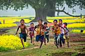 Bogura, Bangladesch - 24. Dezember 2017: Blick auf Kinder, die durch ein Feld mit leuchtend gelben Blumen unter einem großen, belaubten Baum rennen, wobei ihre freudigen Gesichter die helle Landschaft widerspiegeln.