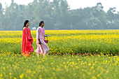 Bogura, Bangladesh - 24 December 2017: View of two women gracefully walking through a vibrant yellow mustard field, their colorful dresses contrasting with the bright floral expanse..