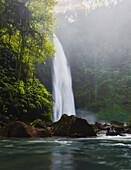 View of cascading waterfall plunges into a serene pool framed by lush, vibrant green foliage clinging to mossy rocks, creating a mystical, tranquil scene, Badung, Bali, Indonesia.