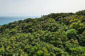 Luftaufnahme eines grünen Waldes, der sich kaskadenförmig zum türkisfarbenen Meer hin erstreckt, eine ruhige Landschaft, in der sich die Palette der Natur in harmonischer Schönheit vermischt, Korfu, Korfu, Griechenland.