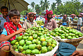 Kansat, Bangladesh - 24 June 2022: View of vibrant green mangoes piled high on woven baskets, a young boy's gaze meeting the camera amidst the bustling Sona Masjid Road market.