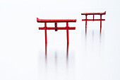 View of two vibrant red torii gates stand in stark contrast against the serene, blurred expanse of water, creating an ethereal scene, Tara, Saga Prefecture, Japan.