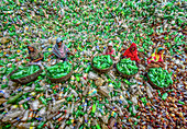 Bogura, Bangladesh - 26 July 2018: View of a sea of discarded plastic bottles with women sorting through the waste, their colorful garments contrasting against the green and white debris.