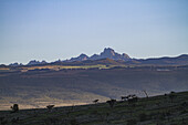 Blick auf zerklüftete Berggipfel, die den Horizont unter einem ruhigen Himmel durchbrechen und Schatten auf die weite Landschaft darunter werfen, eine ruhige Szene, Meru, Kirinyaga County, Kenia.