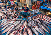 Bogura, Bangladesh - 17 November 2020: View of a vibrant fish market scene, where silvery fish gleam against the blue tarps, vendors crouch with watchful eyes.
