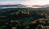 Aerial view of verdant terraces nestled amidst rolling hills and a light-kissed landscape, where shadows dance with the sun's golden embrace, San Enrique, Western Visayas.