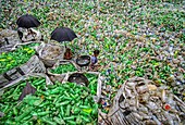 Bogura, Bangladesh - 26 July 2018: View of a sea of discarded plastic bottles, a worker amidst the waste, under the shade of umbrellas, sorting through the glimmering green and white debris.