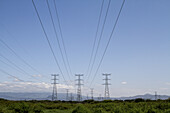 View of power lines stretching across a vibrant green landscape under a clear blue sky, a testament to energy infrastructure, Suswa, Narok, Kenya.