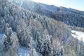 Aerial view of snow-laden evergreens blanket a mountain range, with a small structure nestled in the landscape, a serene winter scene., Frais, Piemonte, Italy.