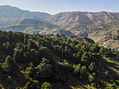 Aerial view of the vibrant green forest contrasting with the rugged terrain of the mountains, showcasing nature's beauty, Tannourine El Faouqa, North Governorate, Lebanon.
