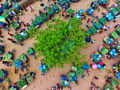 Chapai Nawabganj, Bangladesh - 13 June 2023: Aerial view of a vibrant mango market bustling with activity, carts laden with green mangoes surrounding a lush tree.