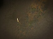 Aerial view of a lone kayaker gliding across the dark, swirling waters, the yellow kayak a stark contrast against the murky depths, Merkine, Lithuania.