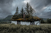 Blick auf ein altes, verwittertes weißes Holzhaus, das von Moos und hohen Kiefern unter einem stimmungsvollen Himmel überwuchert wird, in einem Feld mit hohem Gras, Lofoten, Norwegen.