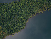 Aerial view of a lush green forest meeting the dark waters, a serene contrast captured from above, Neturlim, Goa, India.