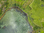 Aerial view of serene waters meet vibrant green landscapes, creating a tranquil, contrasting vista from above, Nornes, Vestland, Norway.